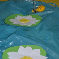 58_szkocja20_wiad