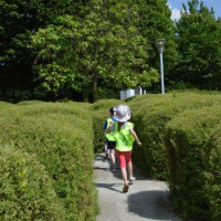 owinska24_wiad_33
