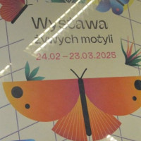 motyle_ryby25_wiad_1