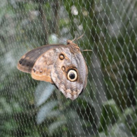motyle_ryby25_wiad_26