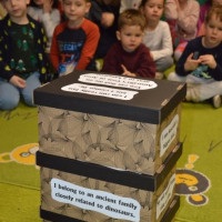 australia2026_wiad_17