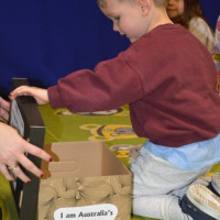 australia2026_wiad_22