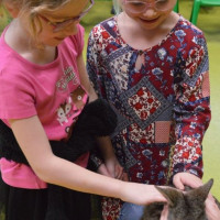 australia2026_wiad_50