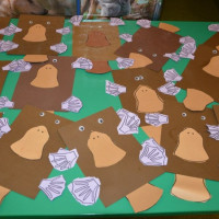 australia2026_wiad_54