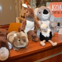 australia2026_wiad_57