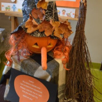 dynia_konk_25_wiad_18