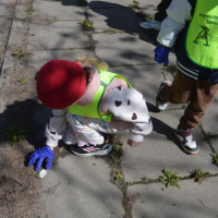 dzieziemin26_wiad_16