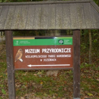 pow_jesieni25_wiad_1