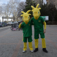 przedszkoiada2026_wiad