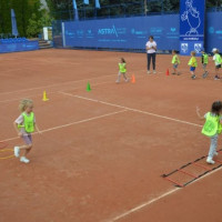 tenis_zon_81