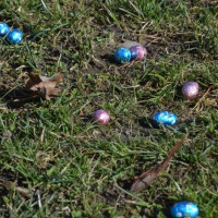 wielkanocprzed_2026_wiad_21