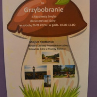 grzybobranie26_wiad_84