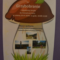 grzybobranie26_wiad_87