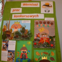 krol_grzyb26_wiad_30